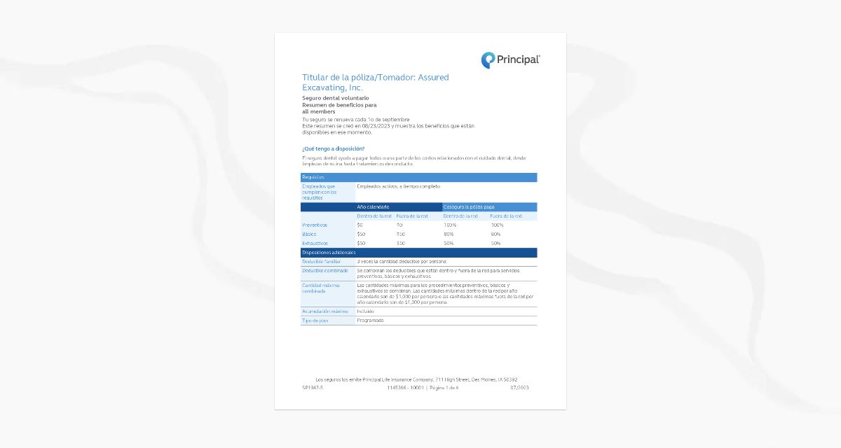 Assured Excavating 2023 Principal Dental Summary SPANISH