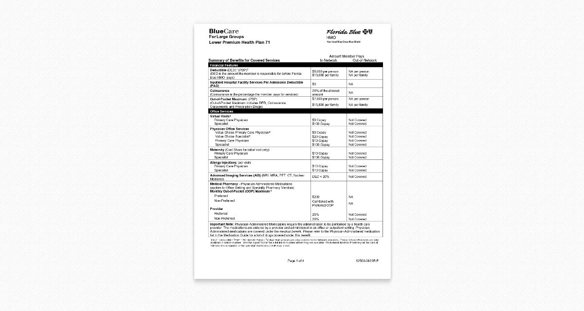 2024 Benefit Summary BlueCare LG